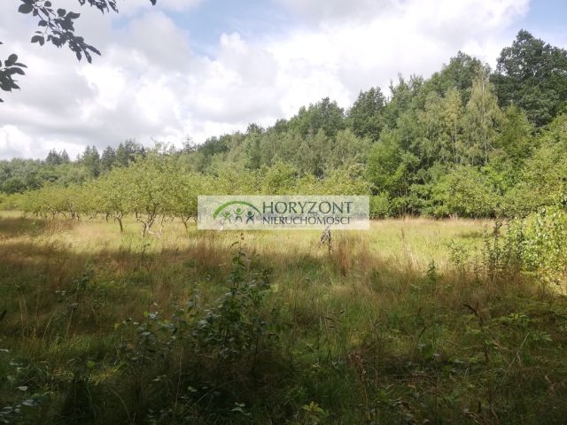 Działka inwestycyjna Babidół. Zdjęcie 17