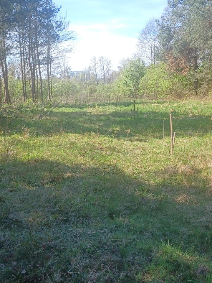 Działka budowlana Basznia Dolna Piaski, ul. Sportowa. Zdjęcie 5