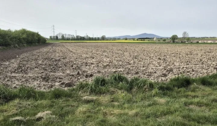 Działka siedliskowa Krzyżowice Wierzbica, ul. Malinowa