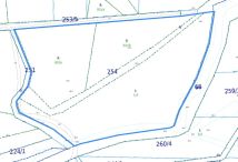 Działka rolna Przychowa. Zdjęcie 1