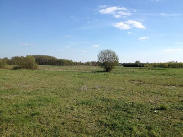 Działka budowlana Osiek. Zdjęcie 5