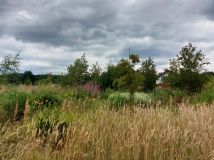 Działka budowlana Radzewice, ul. Bławatkowa. Zdjęcie 2