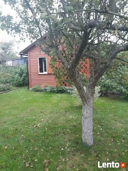 Działka rod Olsztyn. Zdjęcie 3