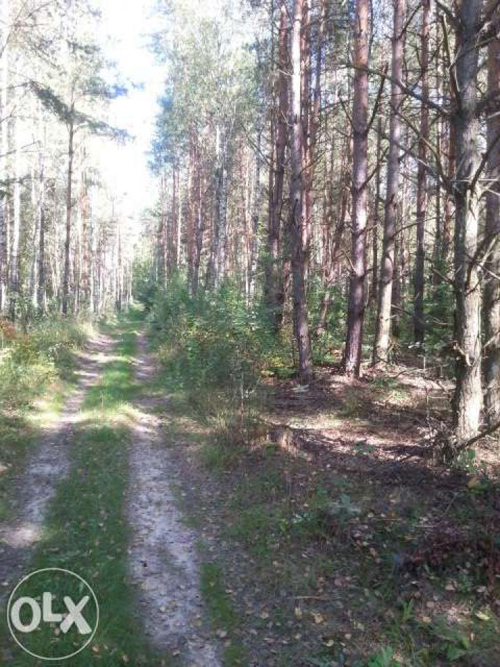 Działka rekreacyjna Chańcza. Zdjęcie 7