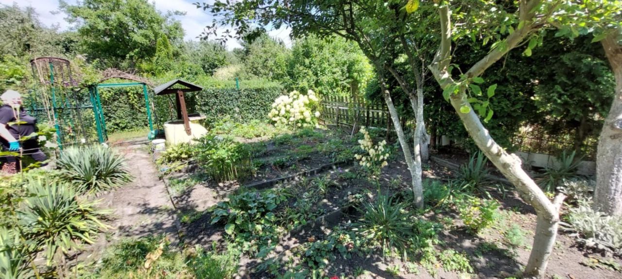 Działka rod Gliwice, ul. Marii Skłodowskiej-Curie. Zdjęcie 5