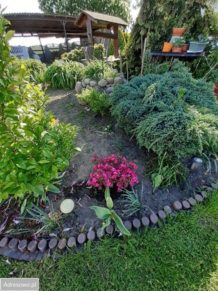 siedlisko Taszewskie Pole. Zdjęcie 13