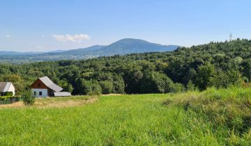 Działka budowlana Bujaków, ul. Szkolna