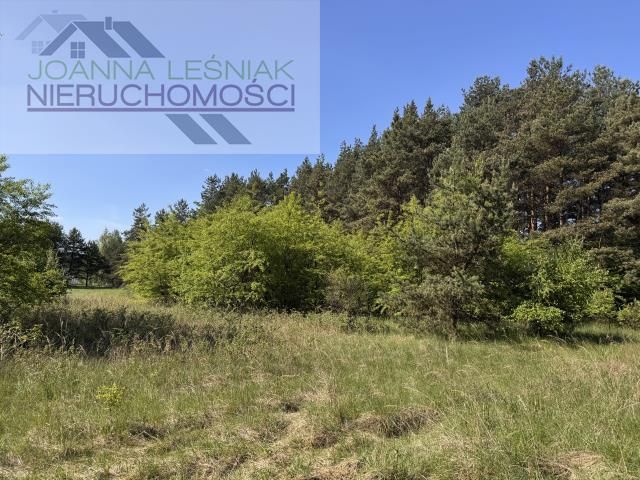 Działka budowlana Chechło, ul. Świerkowa. Zdjęcie 3