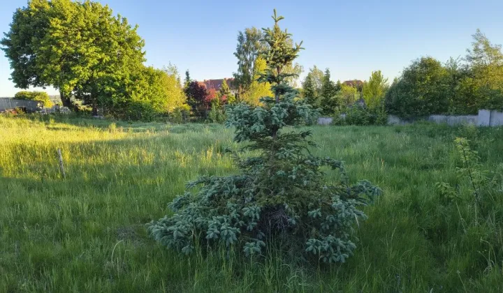 Działka rolno-budowlana Sząbruk, ul. św. Mikołaja