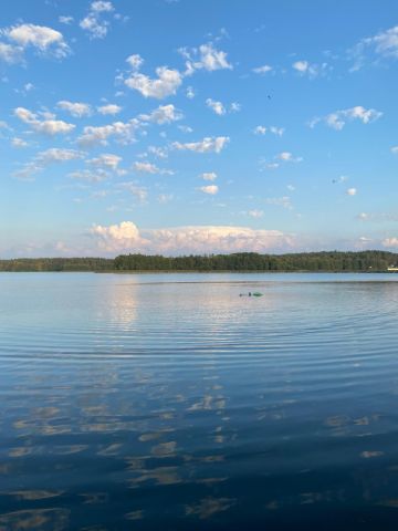 Działka rekreacyjna Łubiana, Hincówka. Zdjęcie 2