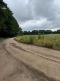 Działka rekreacyjna Tomaszów Mazowiecki, ul. Kotlinowa. Zdjęcie 4