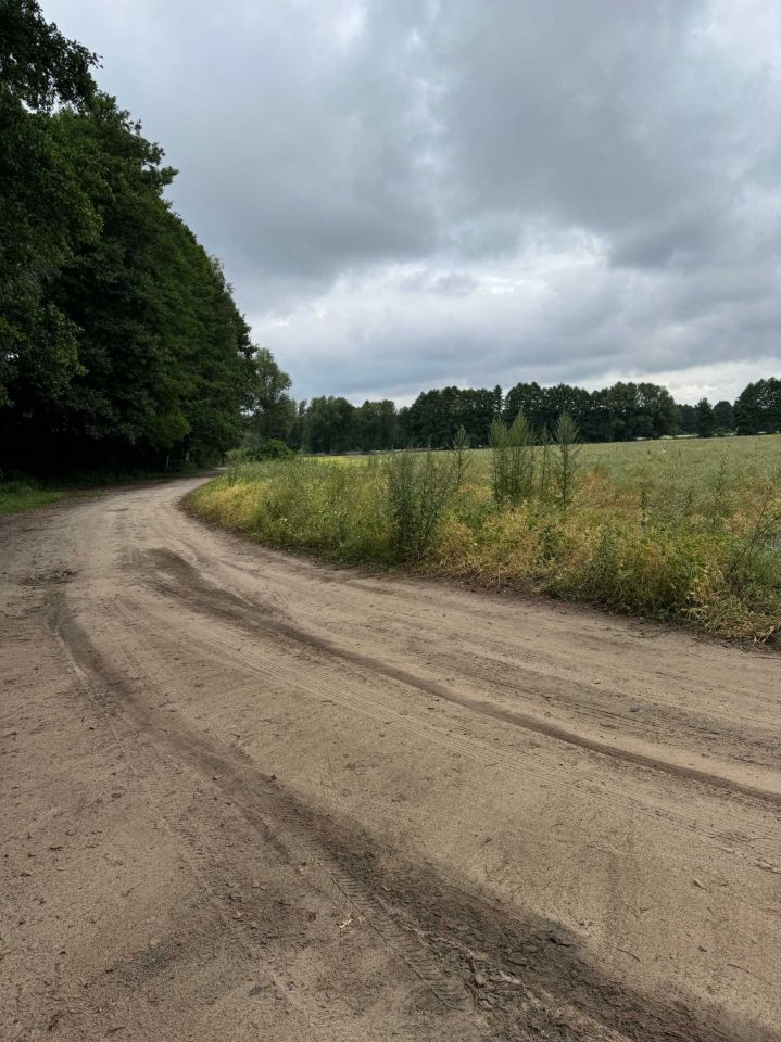 Działka rekreacyjna Tomaszów Mazowiecki, ul. Kotlinowa. Zdjęcie 5