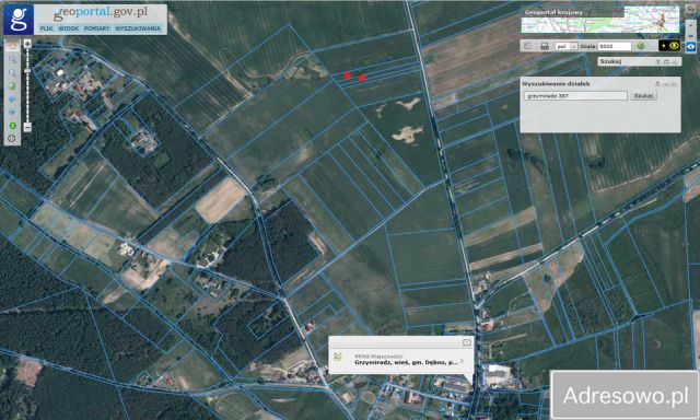 Działka rolna Grzymiradz. Zdjęcie 1