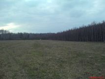 Działka rolna Zelówek. Zdjęcie 2