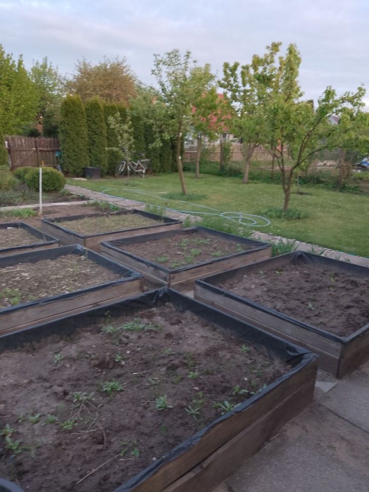 Działka rod Szczytno, ul. Robotnicza. Zdjęcie 6