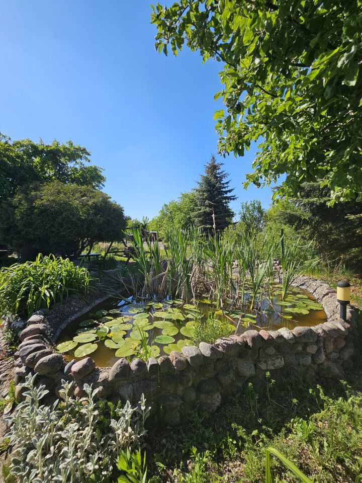 Działka rod Elbląg, ul. Warszawska. Zdjęcie 3