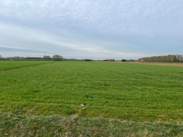 Działka rolna Chałupki. Zdjęcie 1