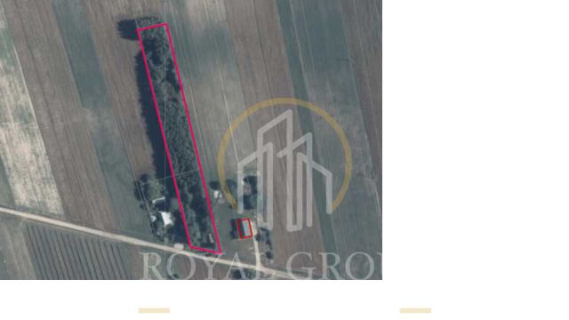 Działka siedliskowa Gołąb. Zdjęcie 8