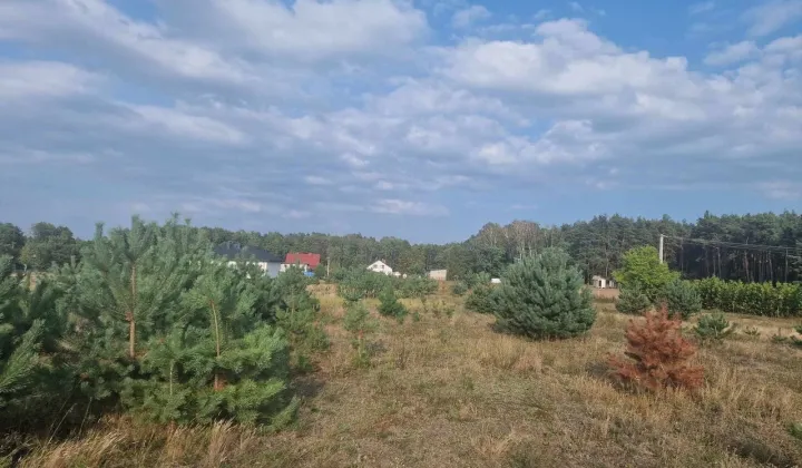 Działka budowlana Krzyżówka, ul. Zarzeczna