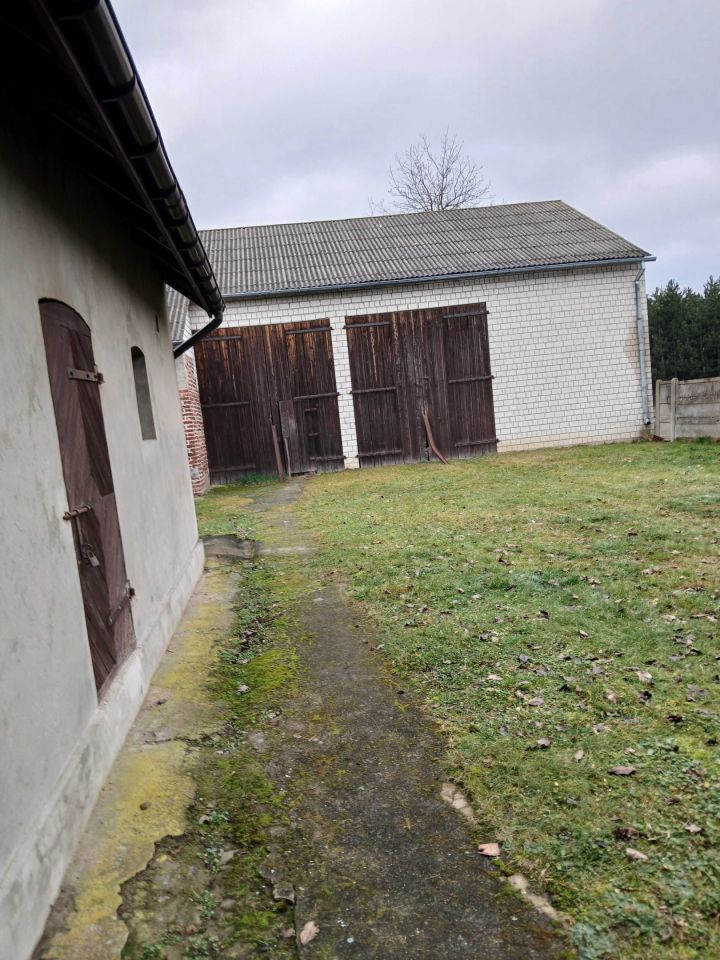 Działka rolno-budowlana Nowa Wola. Zdjęcie 4