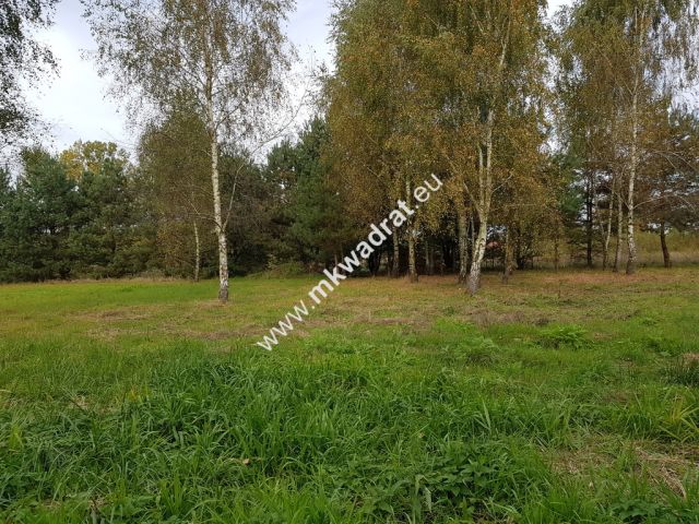 Działka budowlana Radziejowice-Parcel. Zdjęcie 1