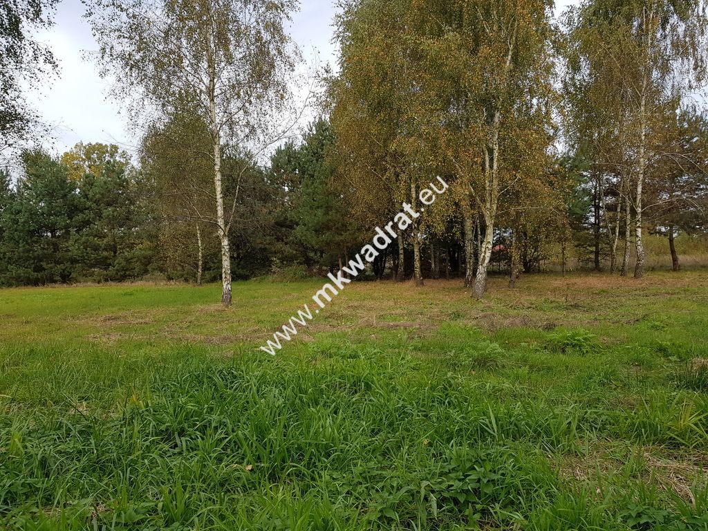 Działka budowlana Radziejowice-Parcel. Zdjęcie 1