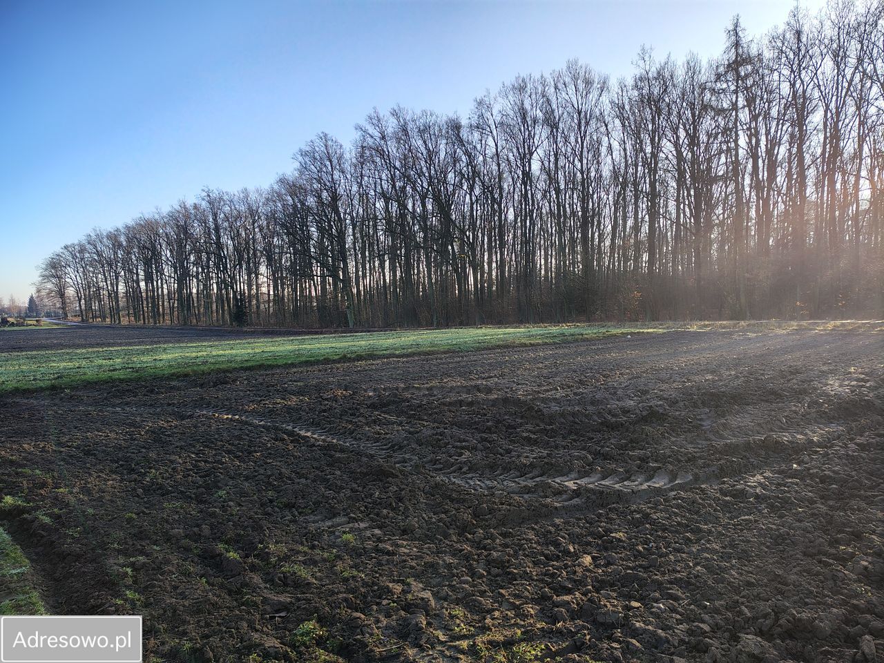 dom wolnostojący, 4 pokoje Kurowo-Parcele. Zdjęcie 6