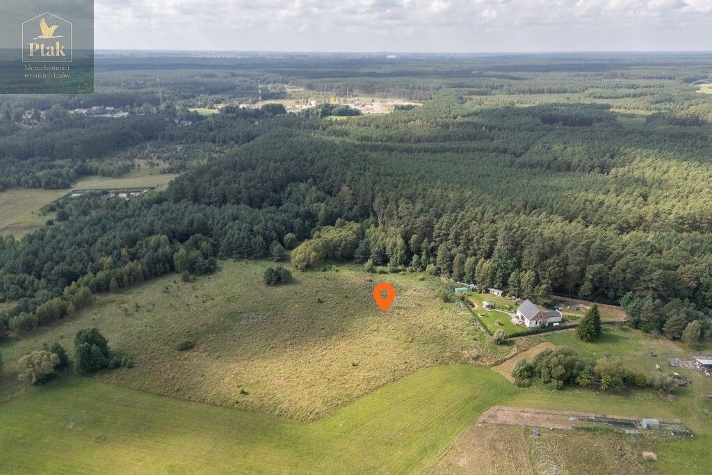 Działka rolna Obrzycko. Zdjęcie 6