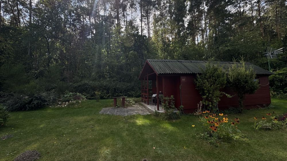 Działka rod Tuszyn Tuszyn-Las. Zdjęcie 3