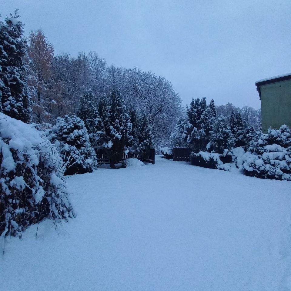 inny, 6 pokoi Przyszowice, Leśna. Zdjęcie 6