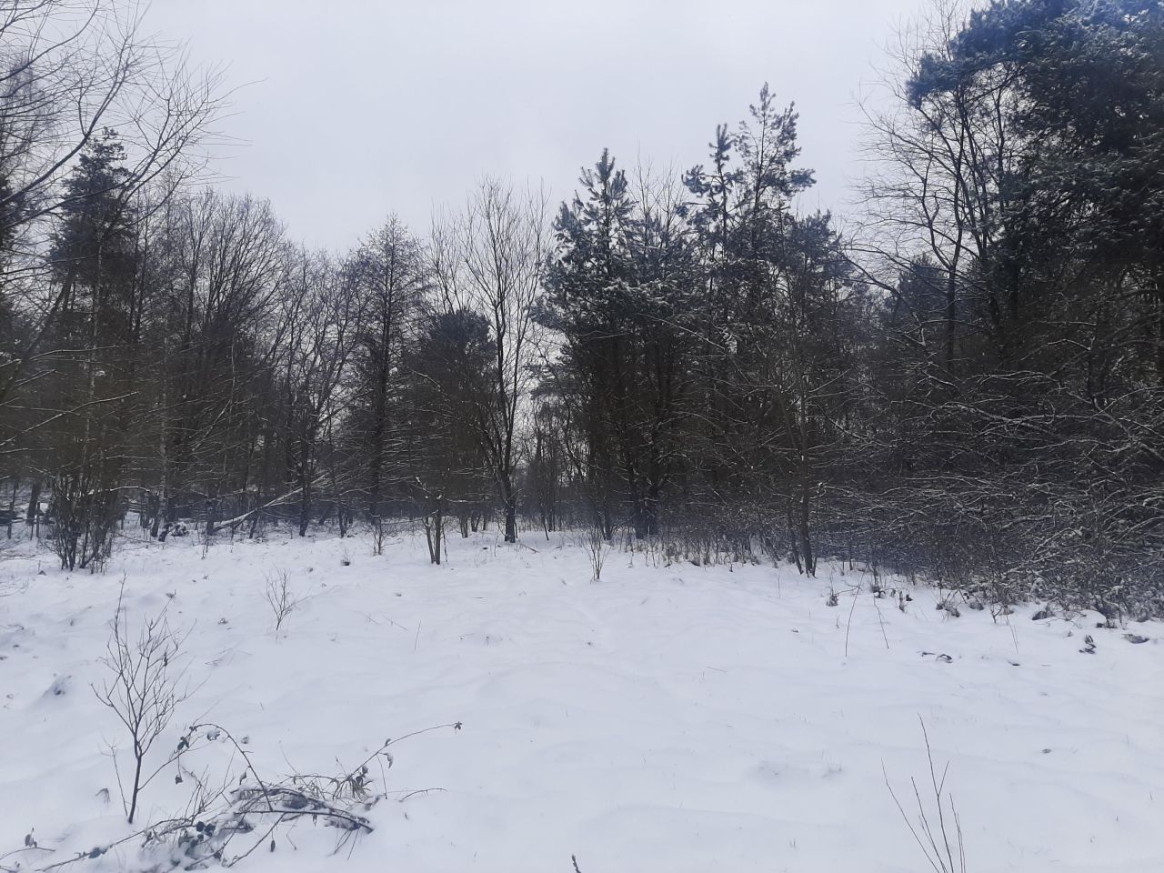 Działka budowlana Bargłówka, ul. Raciborska. Zdjęcie 10