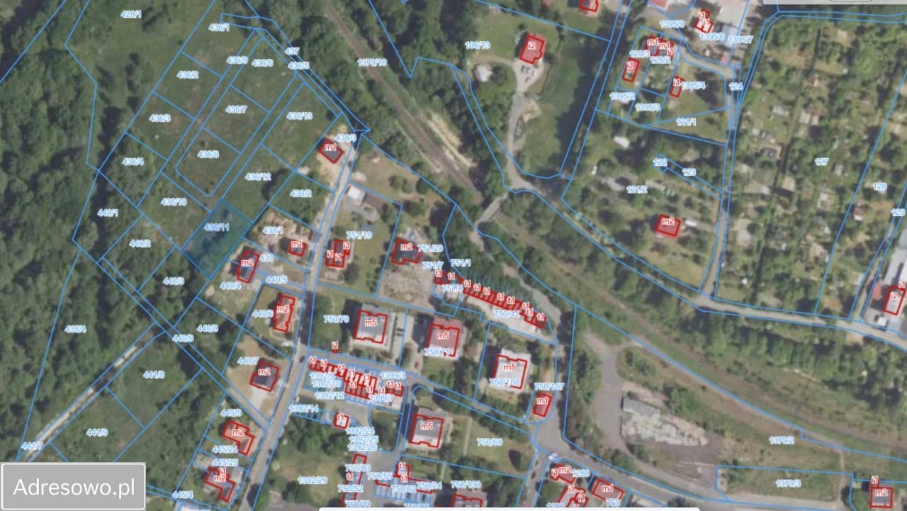 Działka budowlana Olszyna, ul. Szkolna. Zdjęcie 4