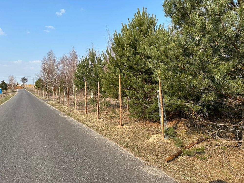 Działka budowlana Niesułków-Kolonia. Zdjęcie 5