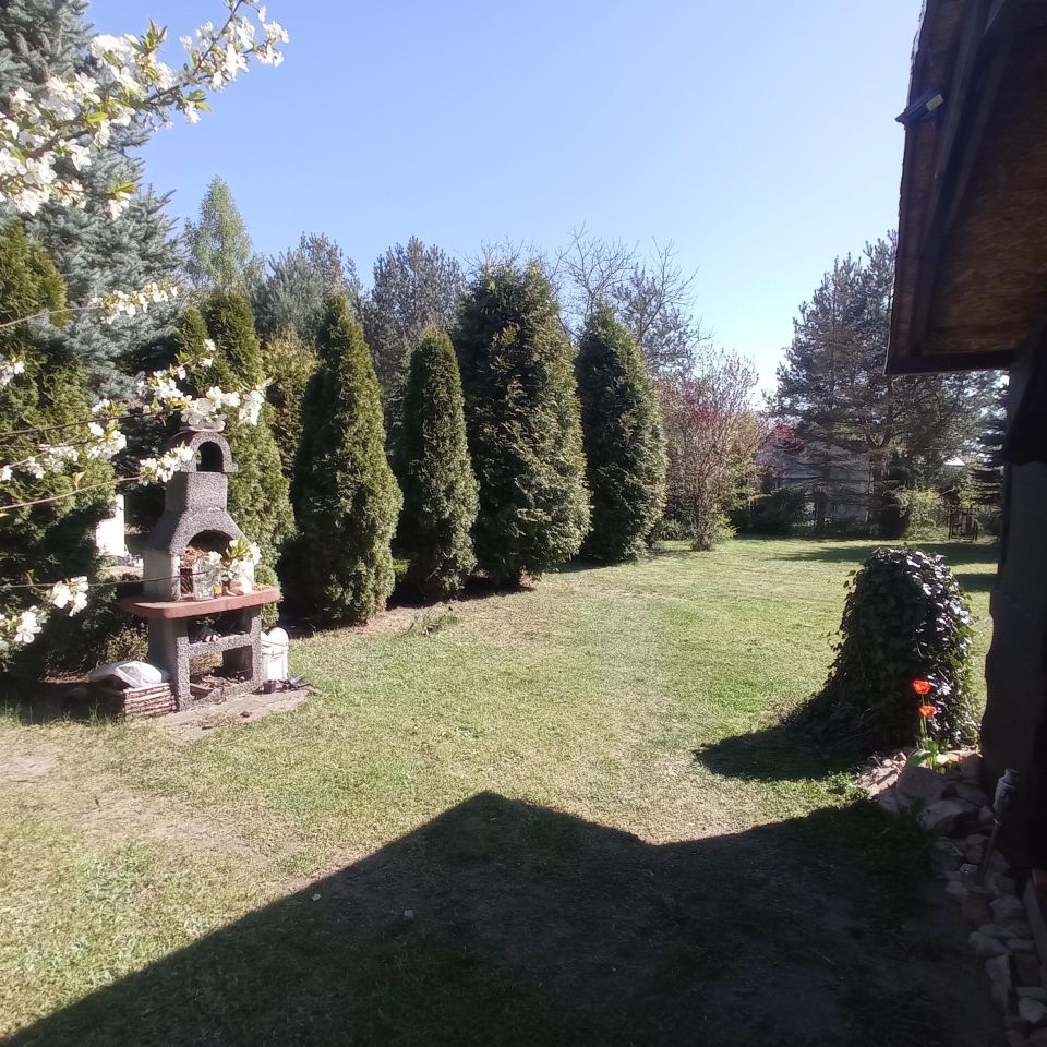 Działka rod Sosnowiec Kazimierz, ul. Limbowa. Zdjęcie 4