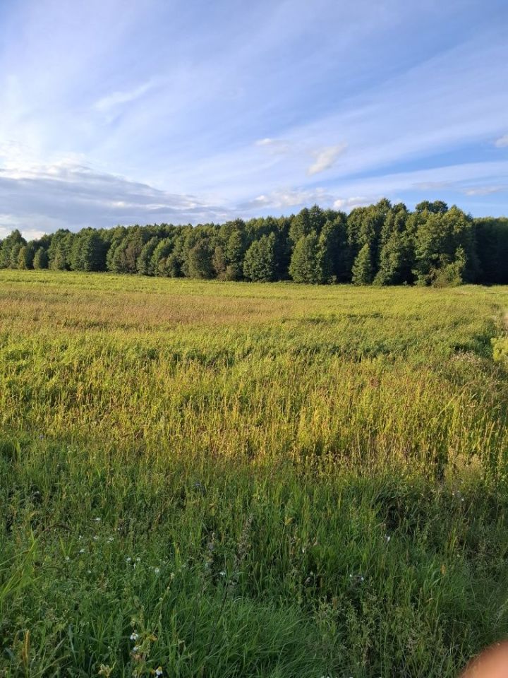 Działka rekreacyjna Sochy. Zdjęcie 7