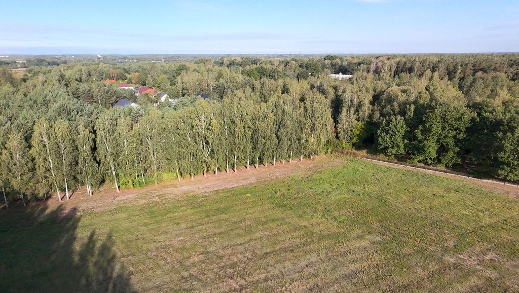 Działka budowlana Korzeniówka. Zdjęcie 3