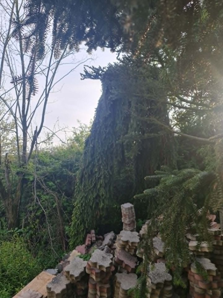 Działka rod Skoczów, Stalmacha. Zdjęcie 14