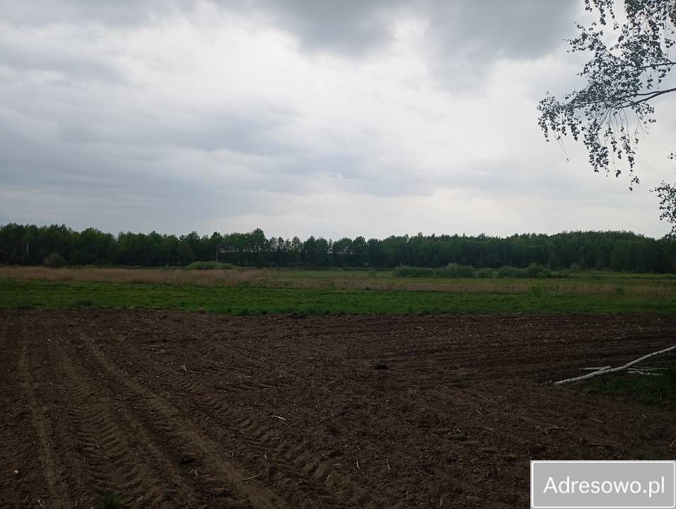 Działka siedliskowa Orzechów-Kolonia. Zdjęcie 6