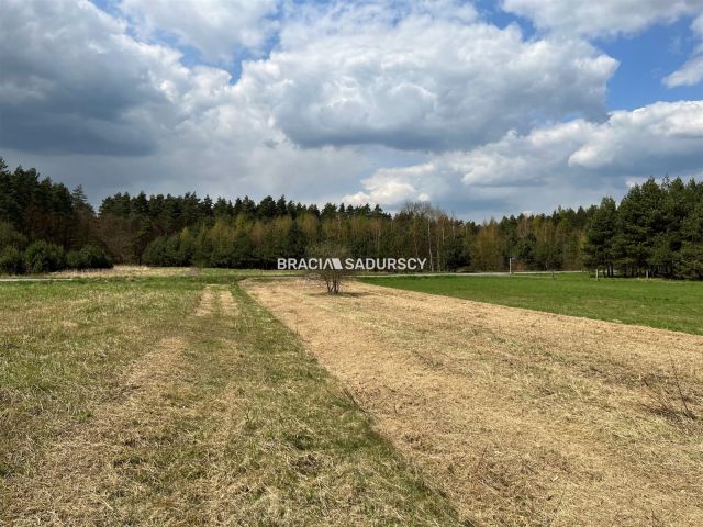 Działka budowlana Kamień. Zdjęcie 4