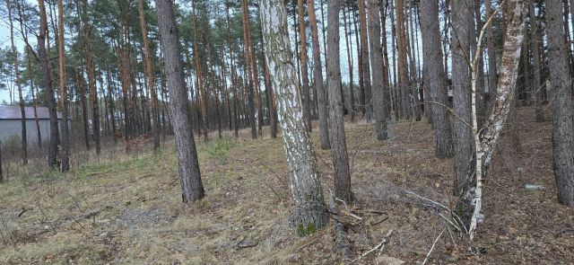 Działka budowlana Konstancin-Jeziorna Konstancin, ul. Fryderyka Chopina. Zdjęcie 1