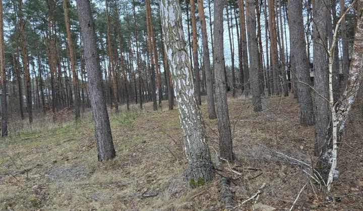 Działka budowlana Konstancin-Jeziorna Konstancin, ul. Fryderyka Chopina