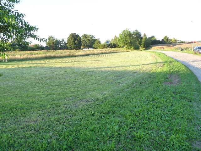 Działka rolno-budowlana Gołańcz Pomorska. Zdjęcie 4