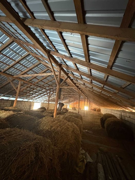 Nieruchomość komercyjna Pustki. Zdjęcie 3