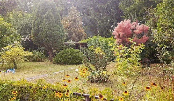 Działka rod Radom, ul. Kielecka