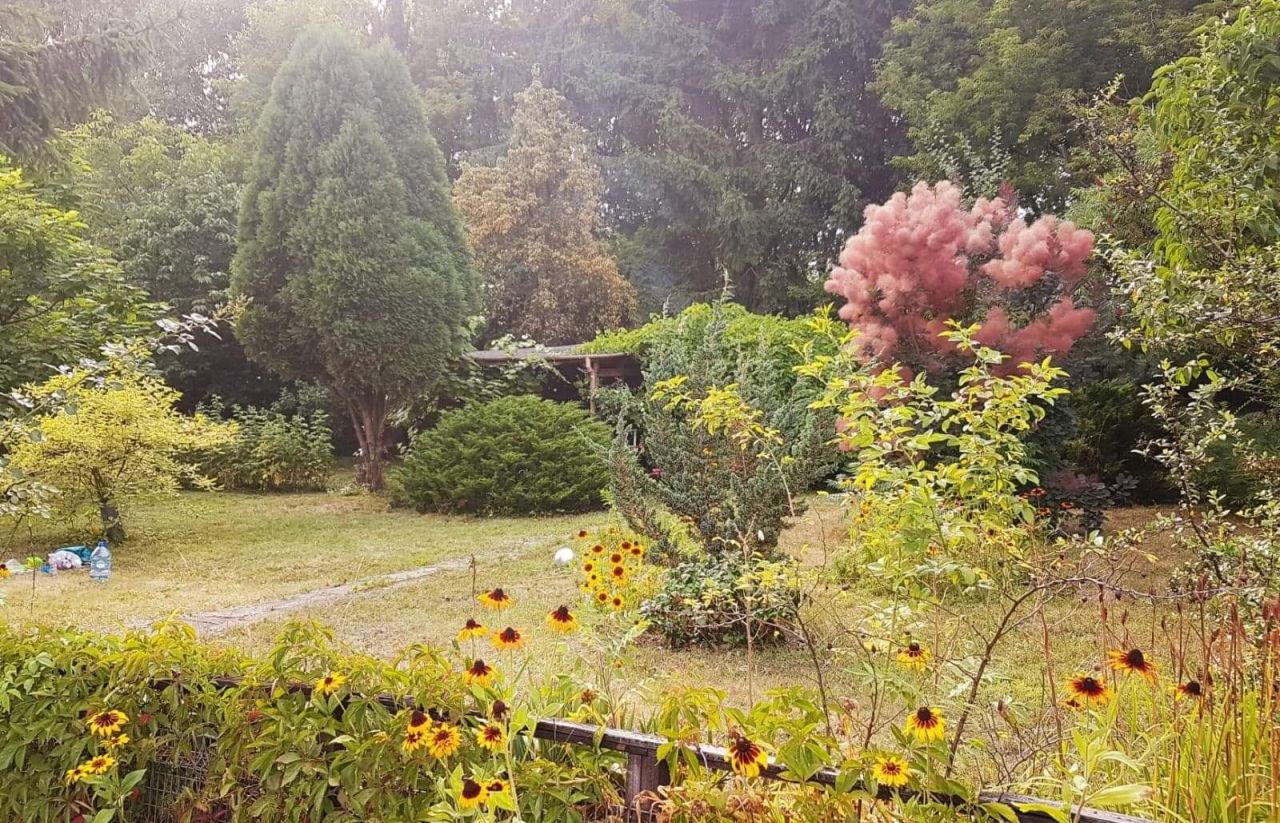 Działka rod Radom, ul. Kielecka