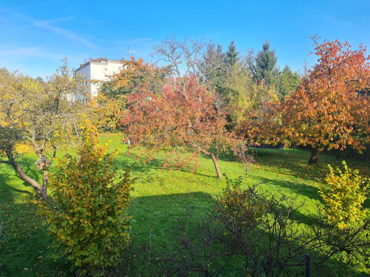 dom wolnostojący Wolsztyn. Zdjęcie 3