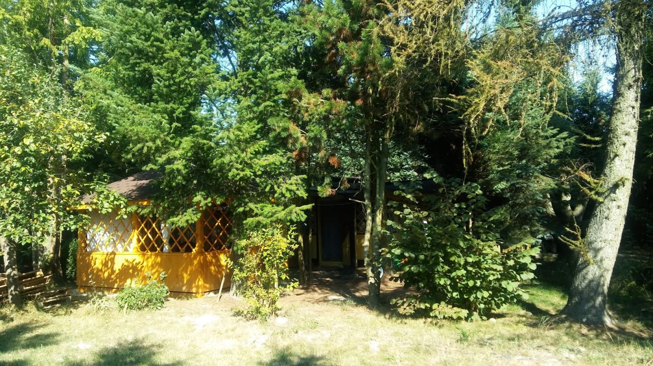 Działka budowlana Stary Uścimów. Zdjęcie 5