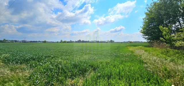 Działka budowlana Bieniewice, ul. Słowicza. Zdjęcie 9