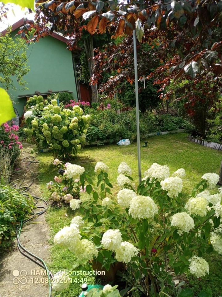 Działka rod Police. Zdjęcie 3