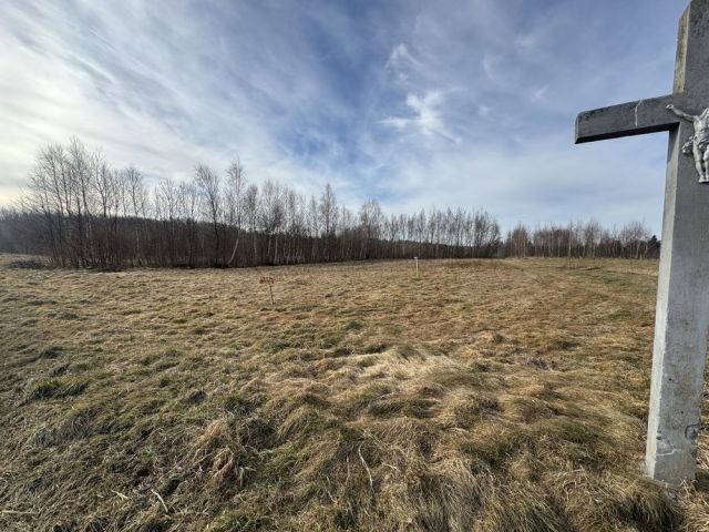 Działka rolna Harta. Zdjęcie 1